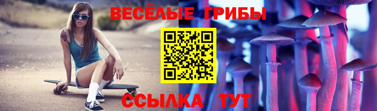 как найти наркотики  Галлюциногенные грибы MAGIC MUSHROOMS  Вход с VPN  Псилоцибиновые грибы мухоморы  Ейск 